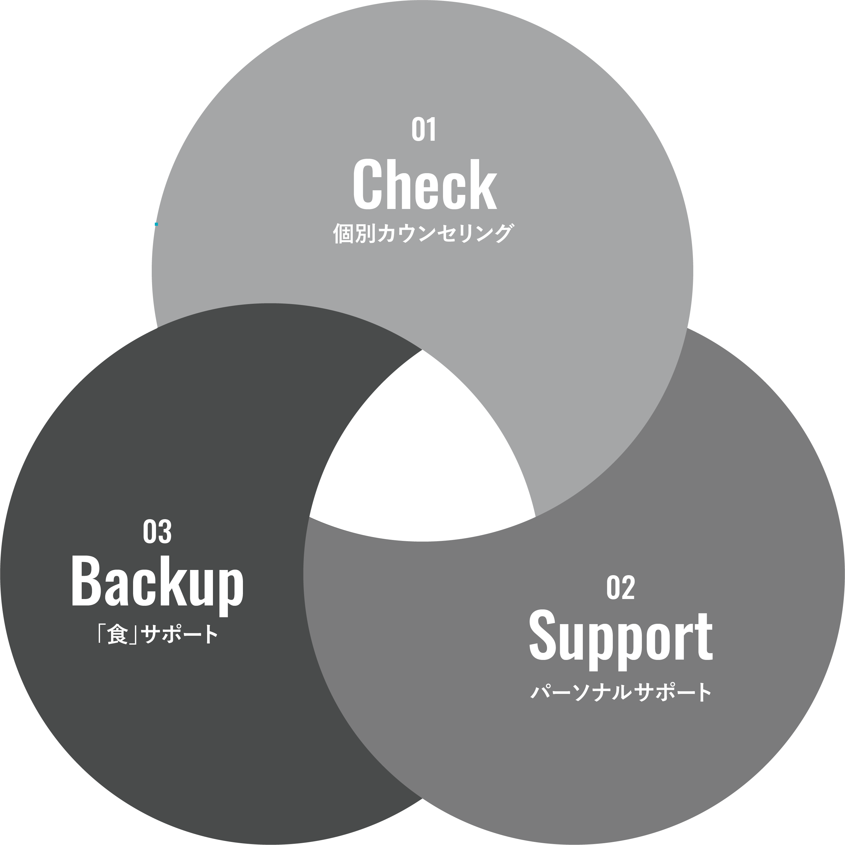 Team Nutrition Support System