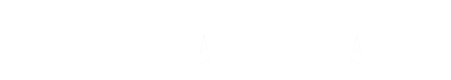 TEAM MATE